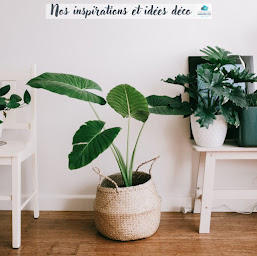 Photo n°19 de Philippe Brochard Immobilier - Agence Immobilière Rives de l'Yon à Rives de l'Yon (Consultant immobilier)