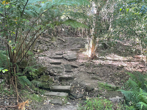 Pemulwuy Loop - Thumbnail