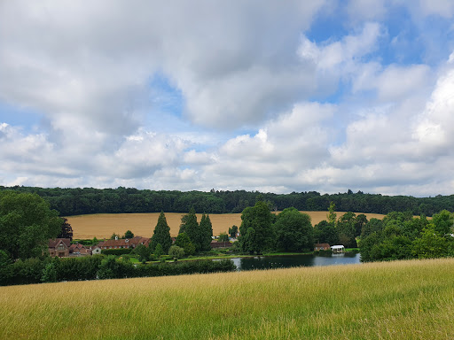 Latimer Park - Visual