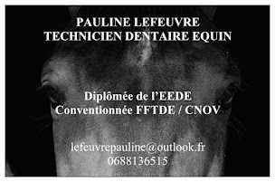 Photo n°1 de Pauline Lefeuvre Technicien Dentaire Equin (TDE) à Languidic (Dentiste)