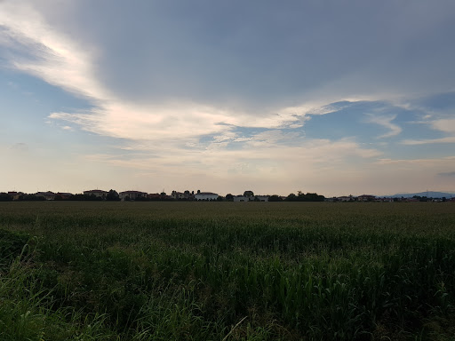 Parco del Borgo Nuovo
