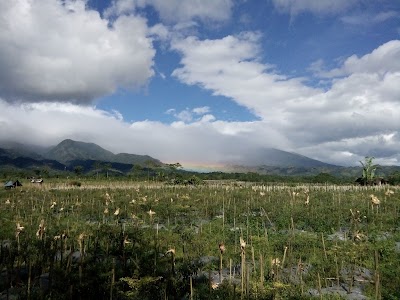 Photos of Gunung Prau Information Center