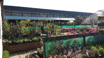 Honeyborough Garden Centre Wrexham Wales 44 1646 601943