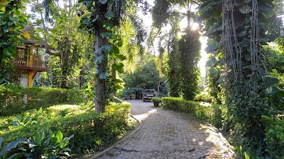 Photos of Jungle House