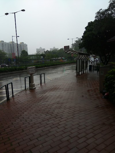 Photos of Lake Garden