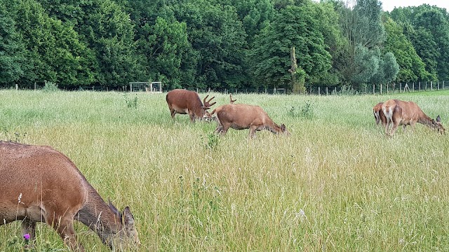 Tierpark Wismar