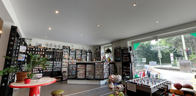 Baslerstrasse 39, 4102 Binningen