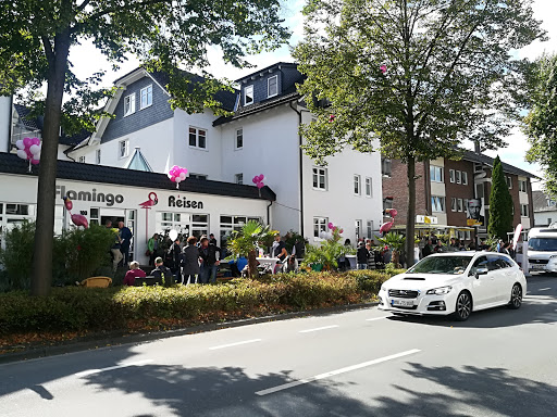 Flamingo Reisen - Thumbnail