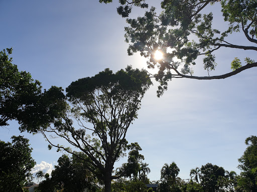 Weddell Park - Thumbnail