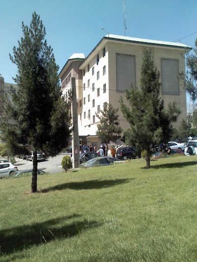 university