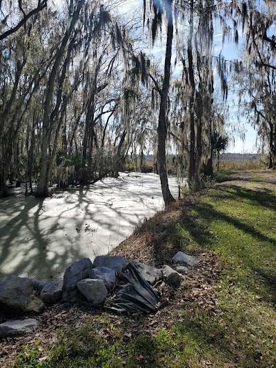 Barr Hammock Preserve