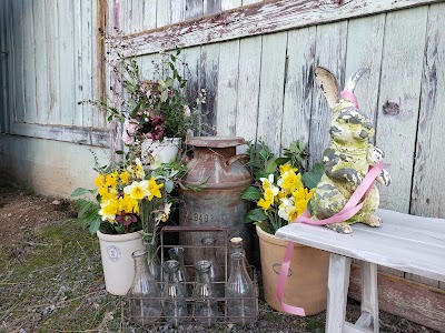 Larks Petals and Stems