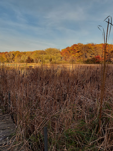 Runyard Wilson Park Gallery - United States