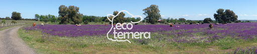 ecoternera - Visual