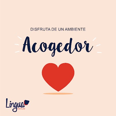 Photos of Lingua Institute
