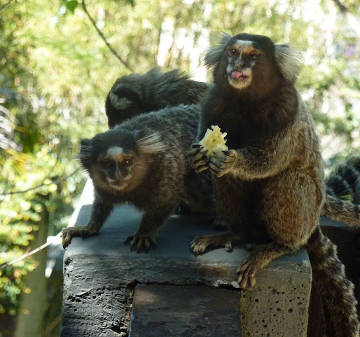 O Veleiro Bed and Breakfast by null