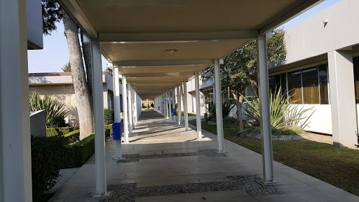 ICBI Edificio E - Visual