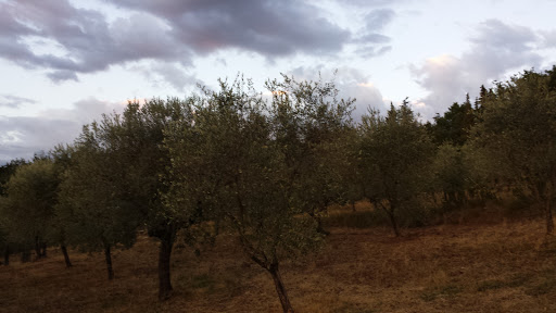 Al Podere Del Viandante - Thumbnail
