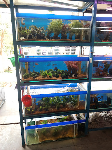 Gallery image 6