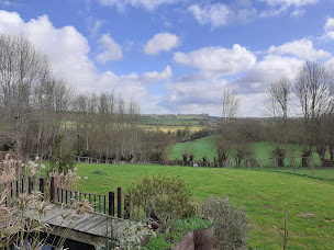 Photo n°4 de Le jardin des violettes à Mahéru (Jardin botanique)