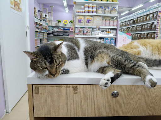 Cats Hometown - Pet Shop, Cat Food & Litter @ Meru, Klang