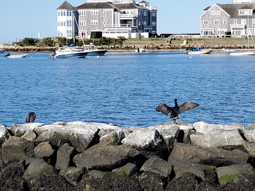 Harwich Harbor Master - Thumbnail