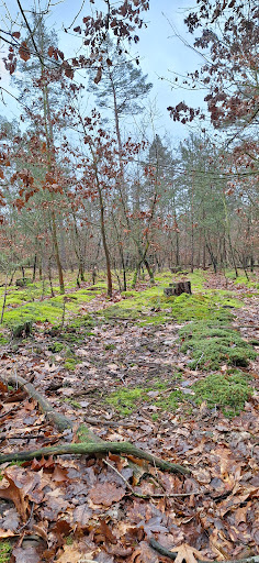 Tor zur Glücksburger Heide - Thumbnail