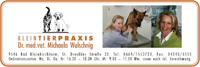 veterinary-care