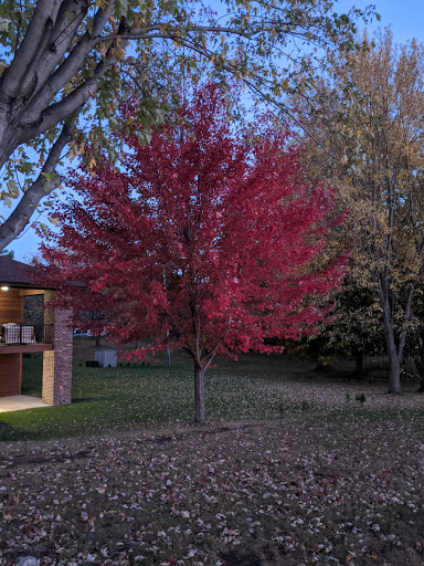 Midland Gardens Park - Thumbnail