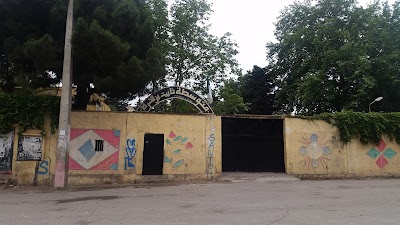 school