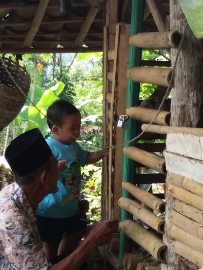 Photos of Tempat Awal Pipinisasi