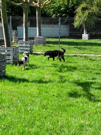 Hotel para perros Las mascotas de Ines centro canino