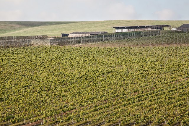 Rathfinny Wine Estate