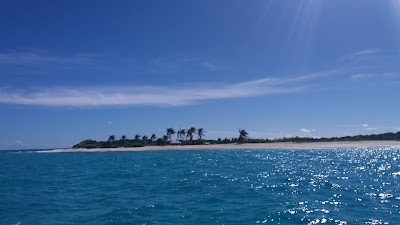 photo of Dads Beach Bar