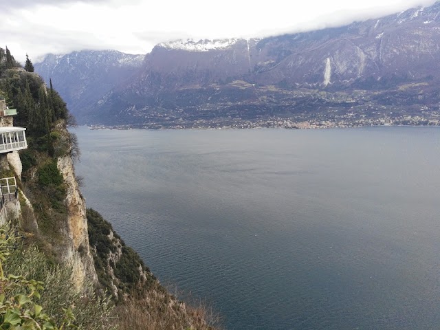 Tremosine
