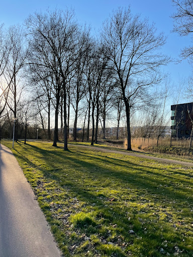 Severijnpark - Thumbnail