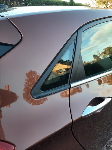 AUTO DEMONSTRATION - Visual