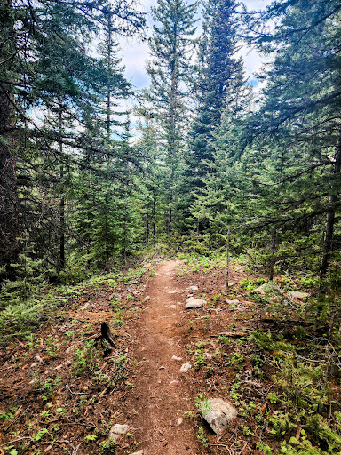 Sierra Club Loop Trailhead