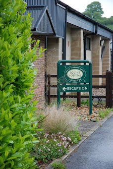 Endell Equine Hospital salisbury