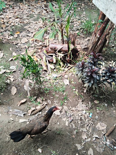 Photos of Makam Raja Raja Tana Paser
