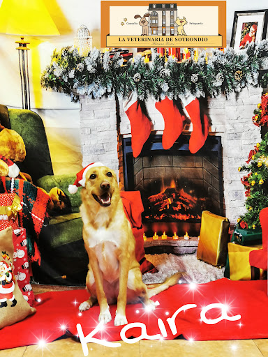 La Veterinaria de Sotrondio