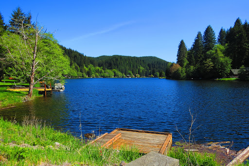Fishhawk Lake Real Estate - Gayle Rich-Boxman REALTOR John L. Scott Market Center - Thumbnail