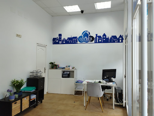 cotrex inmobiliaria - Thumbnail