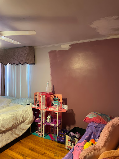 Perfect Painters - Visual