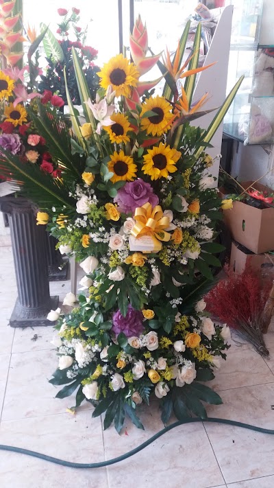 Photos of Floristeria El Clavel