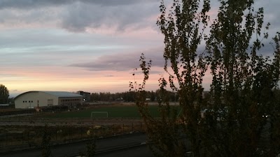 Bulanık Arena Stadı