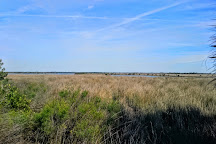 Fort Island Trail Park, Crystal River, United States