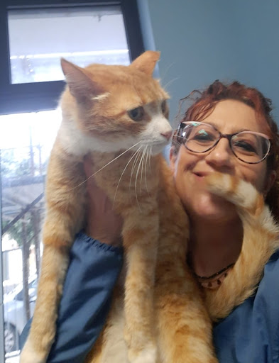 Ambulatorio Veterinario Sammichele - Thumbnail