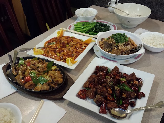 Forum Chinese Seafood Restaurant