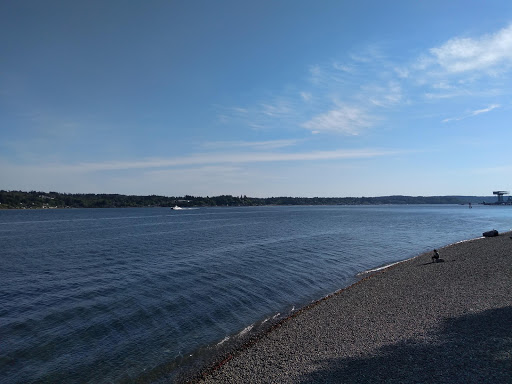Bachmann Park - Visual